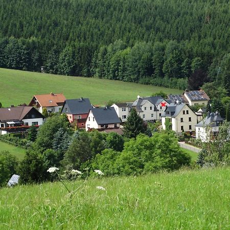 Ferienwohnung "Am Vaterlandsgrubenweg" Oelsnitz  外观 照片